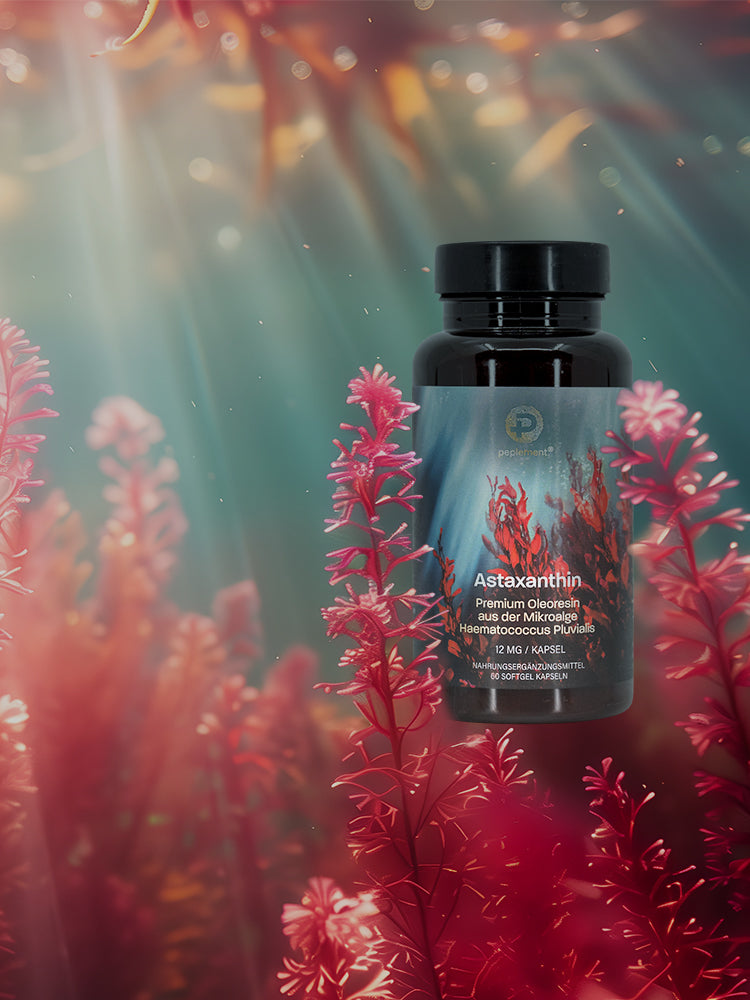 Astaxanthin 12 mg - Zellschutz 
auf höchstem Niveau
