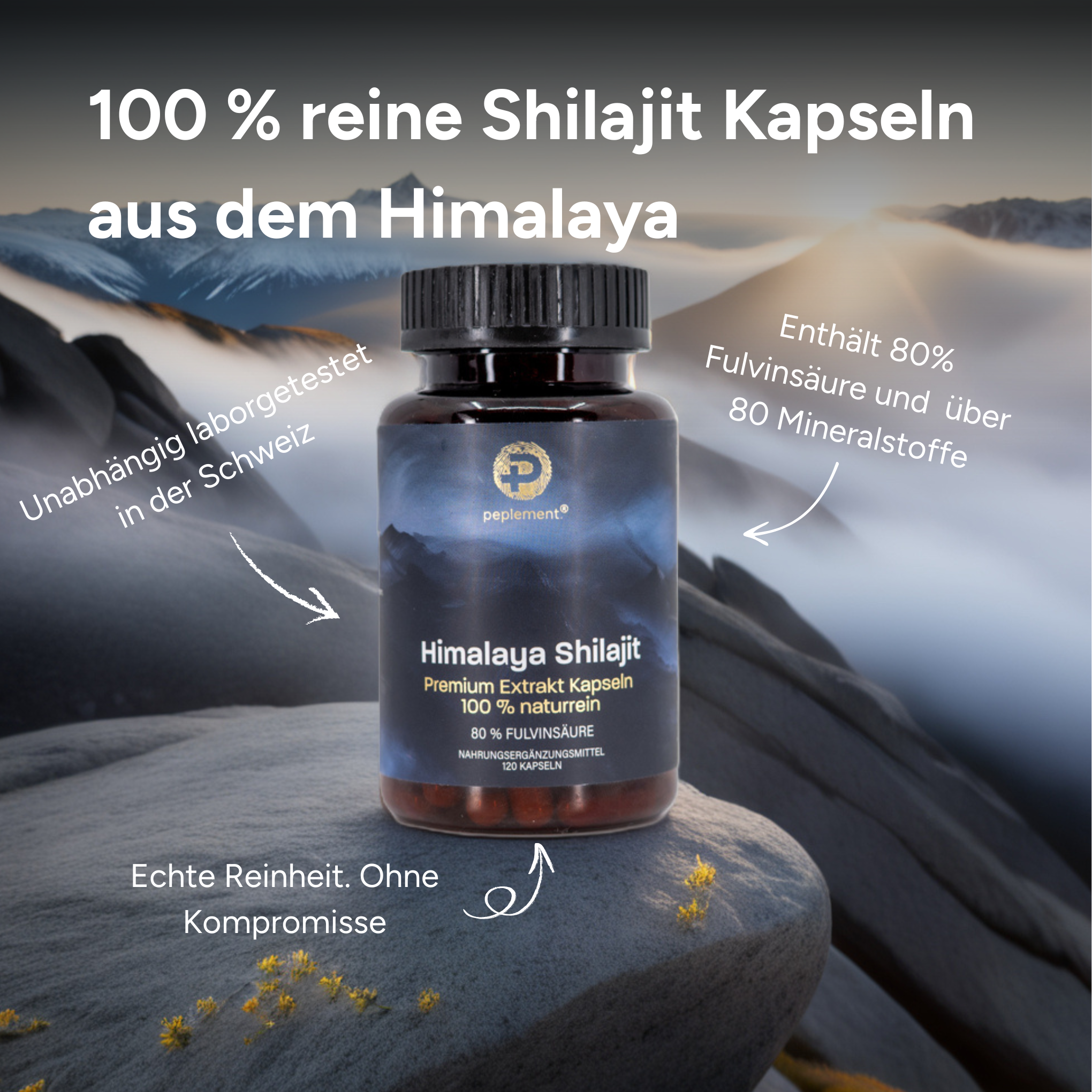 Originale premium Shilajit Kapseln aus dem Himalaya - 100 % rein, 80 % Fulvinsäure & Zinkpicolinat