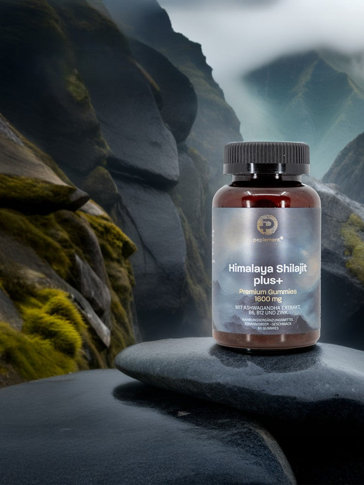 Shilajit Gummies mit Ashwagandha, 
Zink, Vitamin B6 & B12.