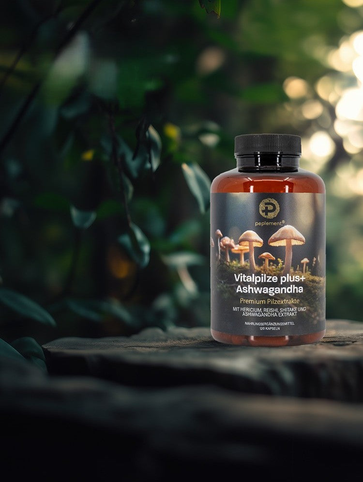 Vitalpilz plus+ 
Komplex mit 
Ashwagandha