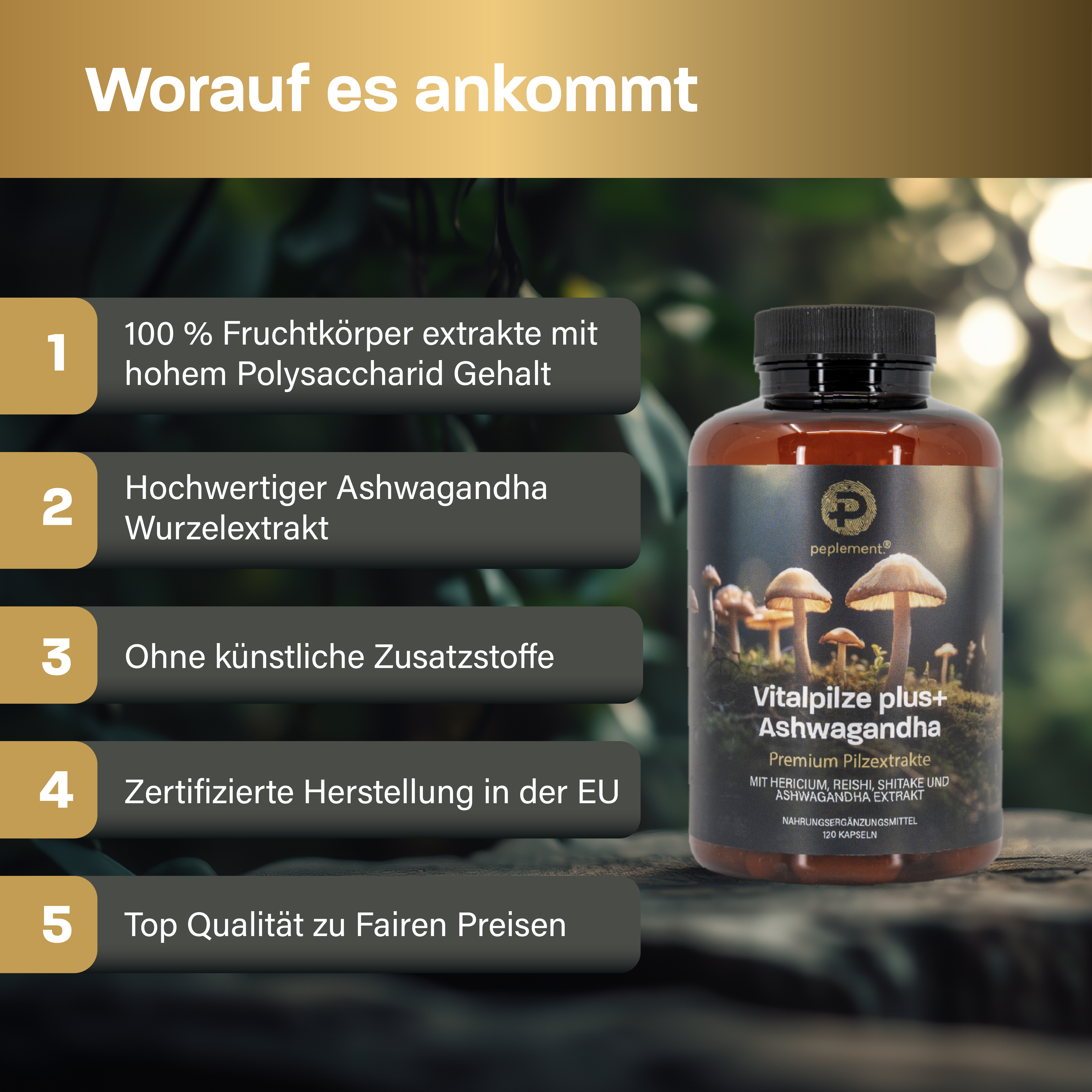 Anti-Stress Bundle mit Shilajit & Vitalpilzen