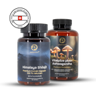 Anti-Stress Bundle mit Shilajit & Vitalpilzen