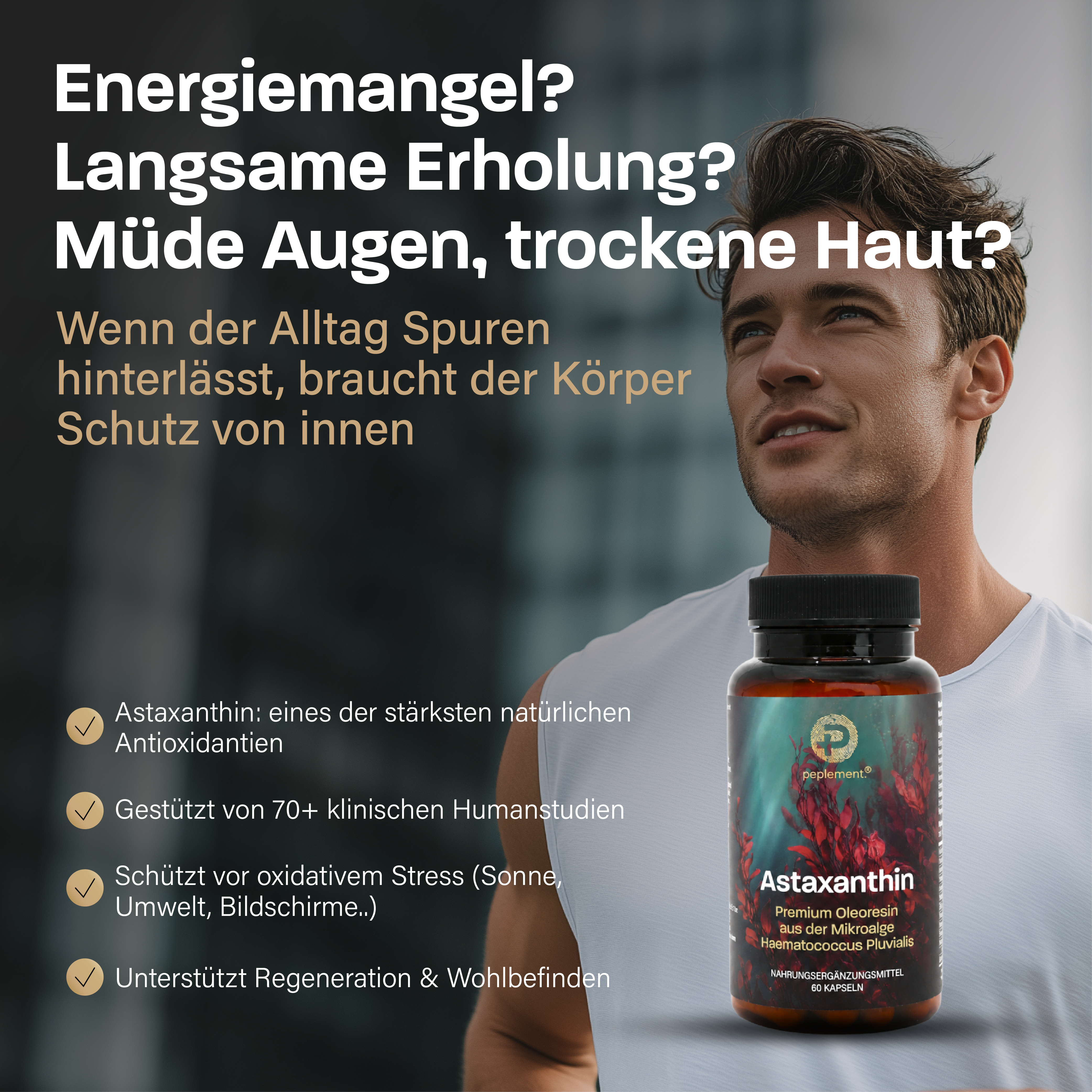 Performance & Recovery Bundle