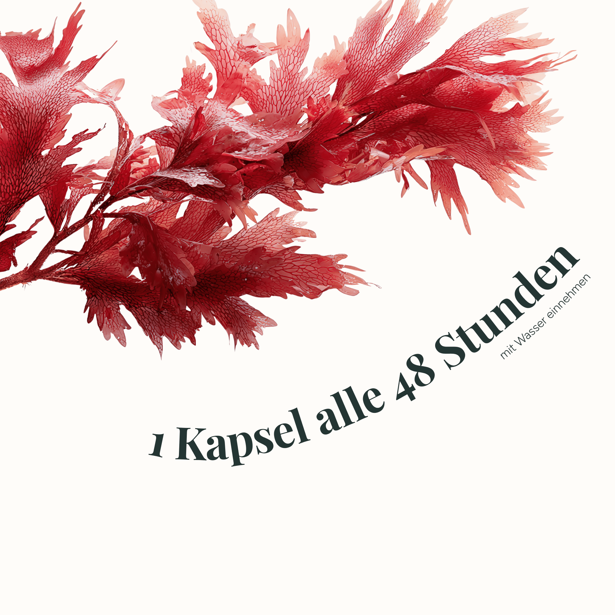 Astaxanthin Softgelkapseln 12 mg