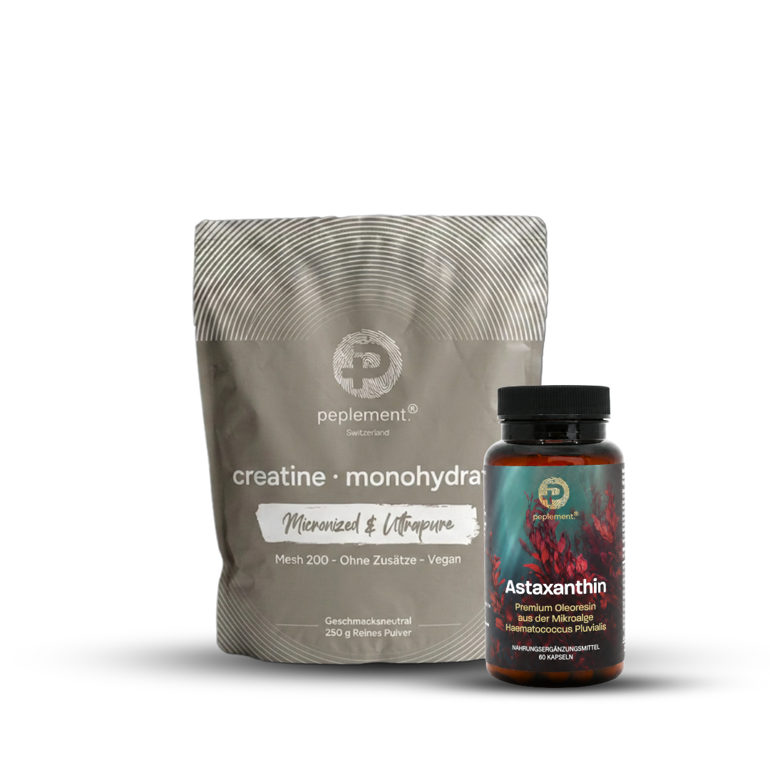 Performance & Recovery Bundle