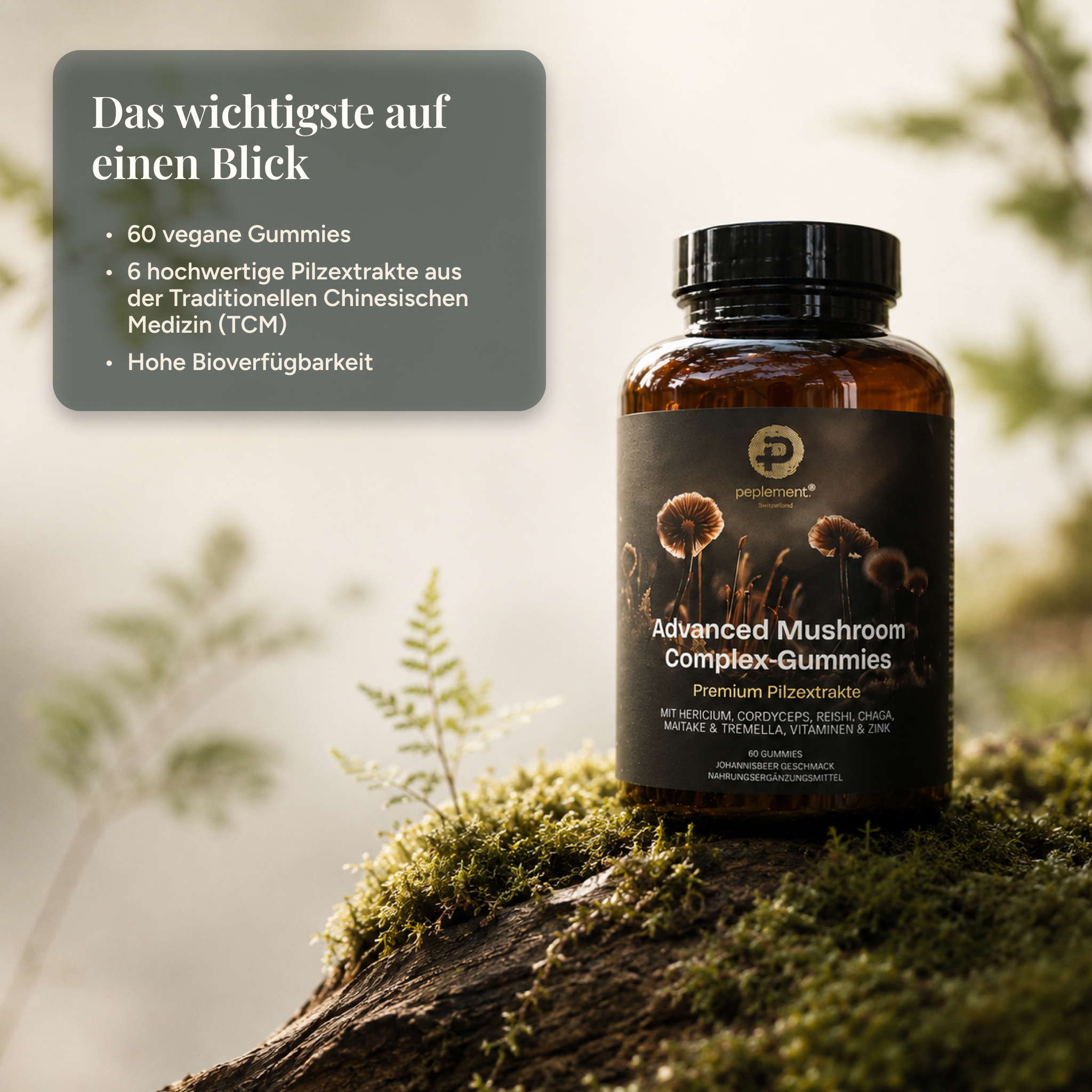 6 hochwertige Pilzextrakte ergänzt mit Vitaminen und Zink