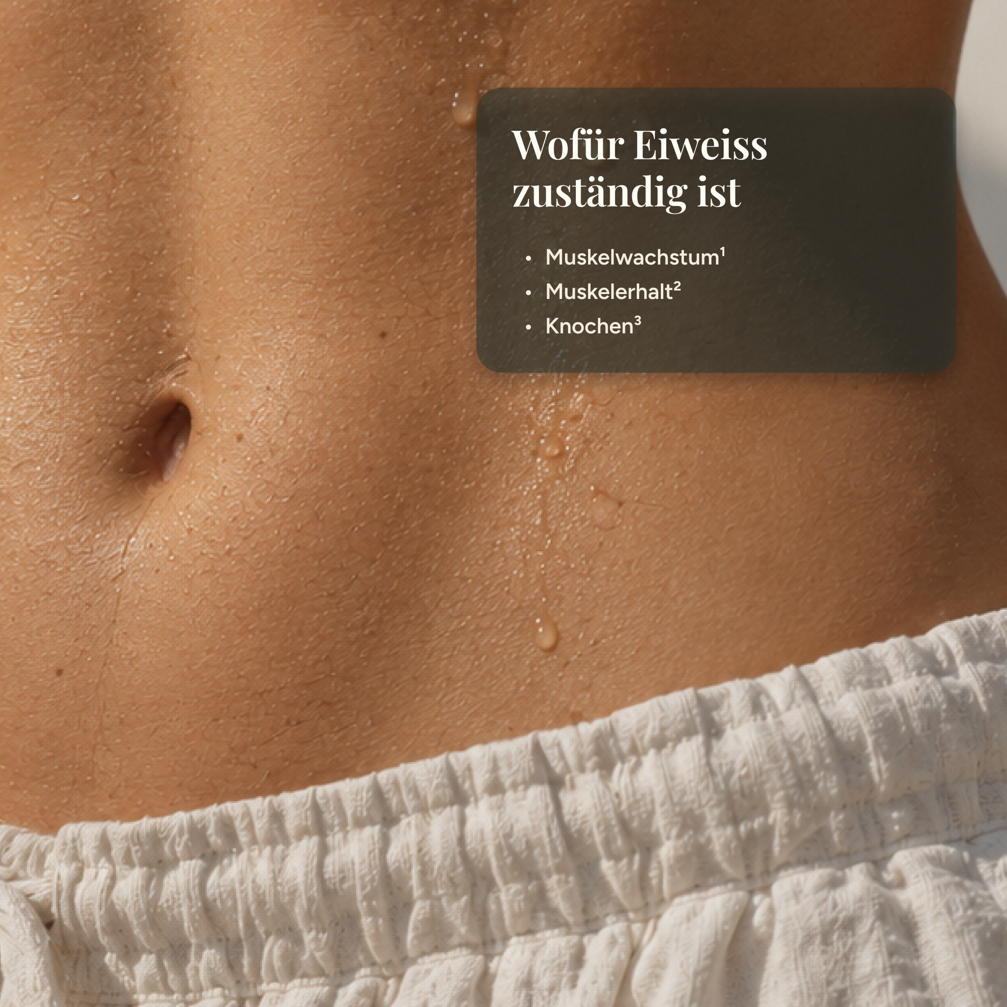 protein plus+  Vanille - Veganes Protein aus Favabohnen, Kichererbsen & Reis