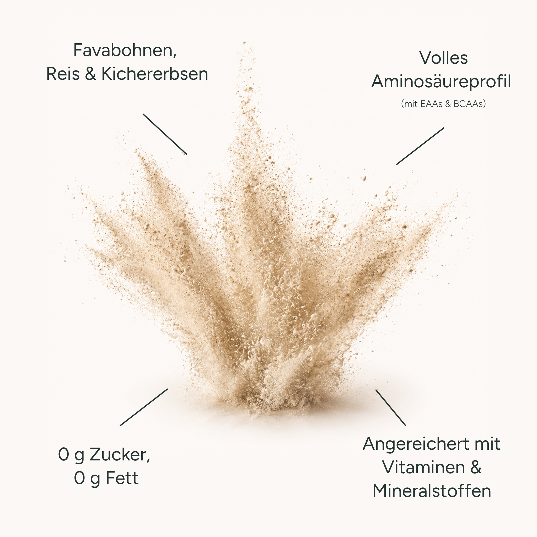 protein plus+  Vanille - Veganes Protein aus Favabohnen, Kichererbsen & Reis