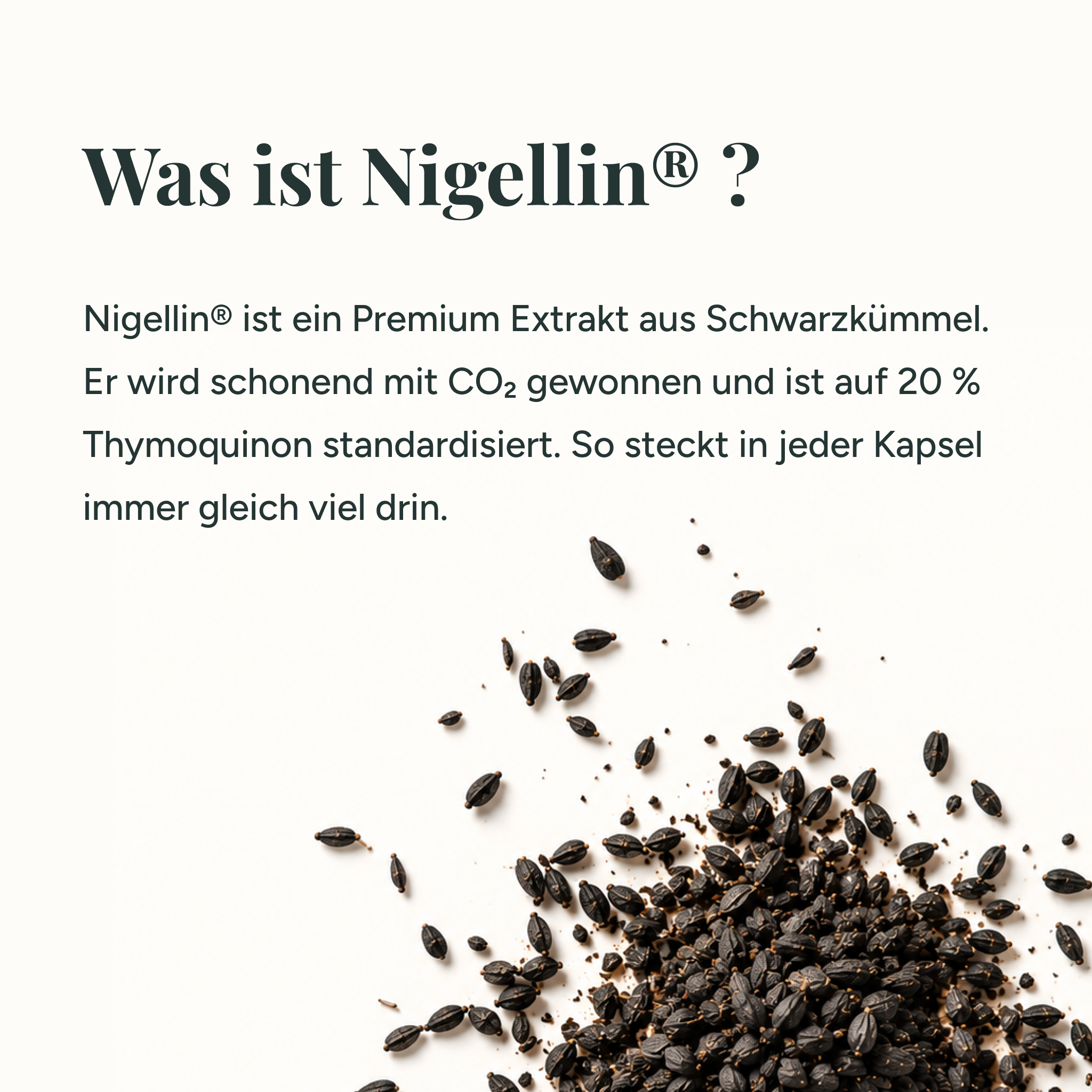 Premium Schwarzkümmelöl & Extrakt Softgel-Kapseln
