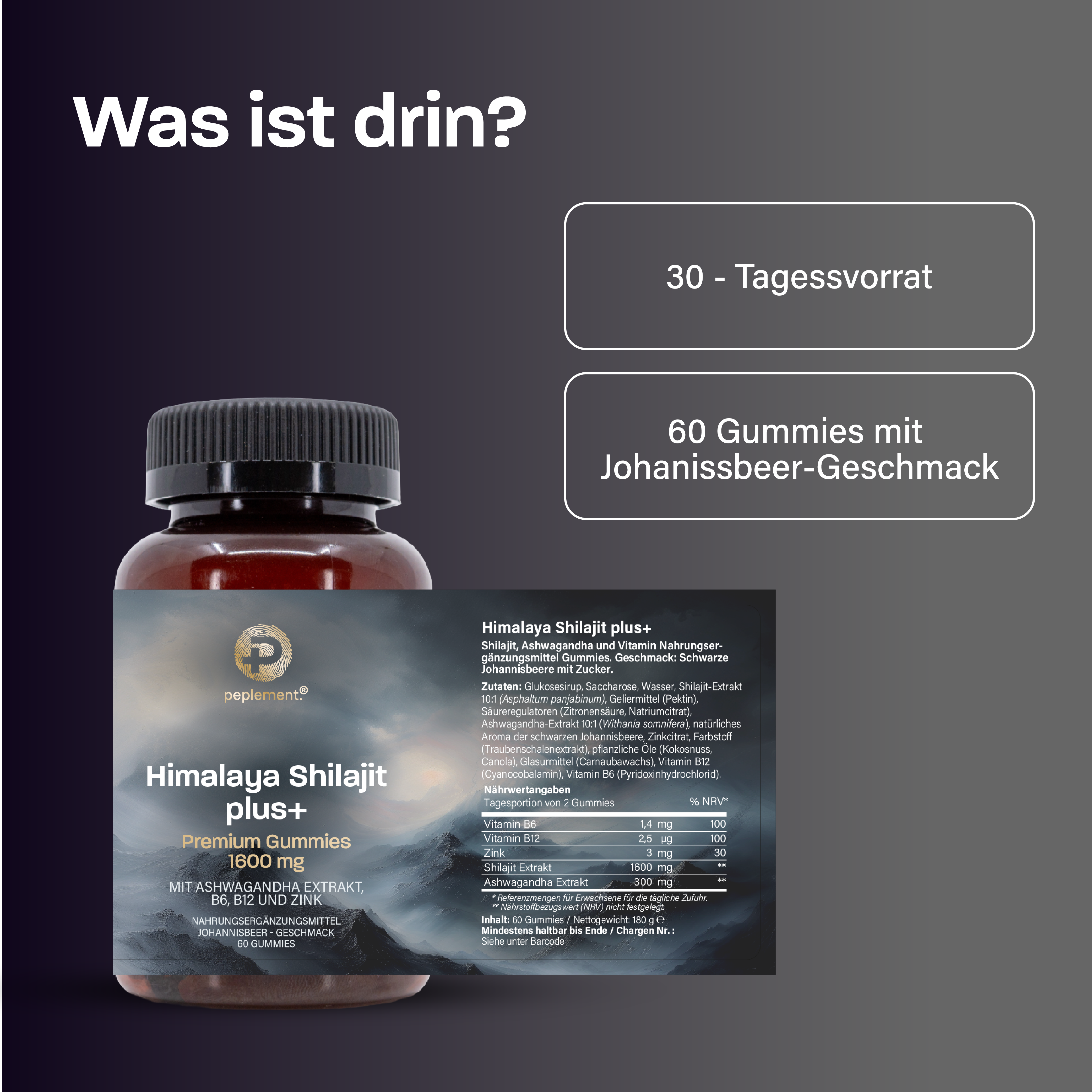 Himalaya Shilajit Gummies mit Ashwagandha, B6, B12 und Zink