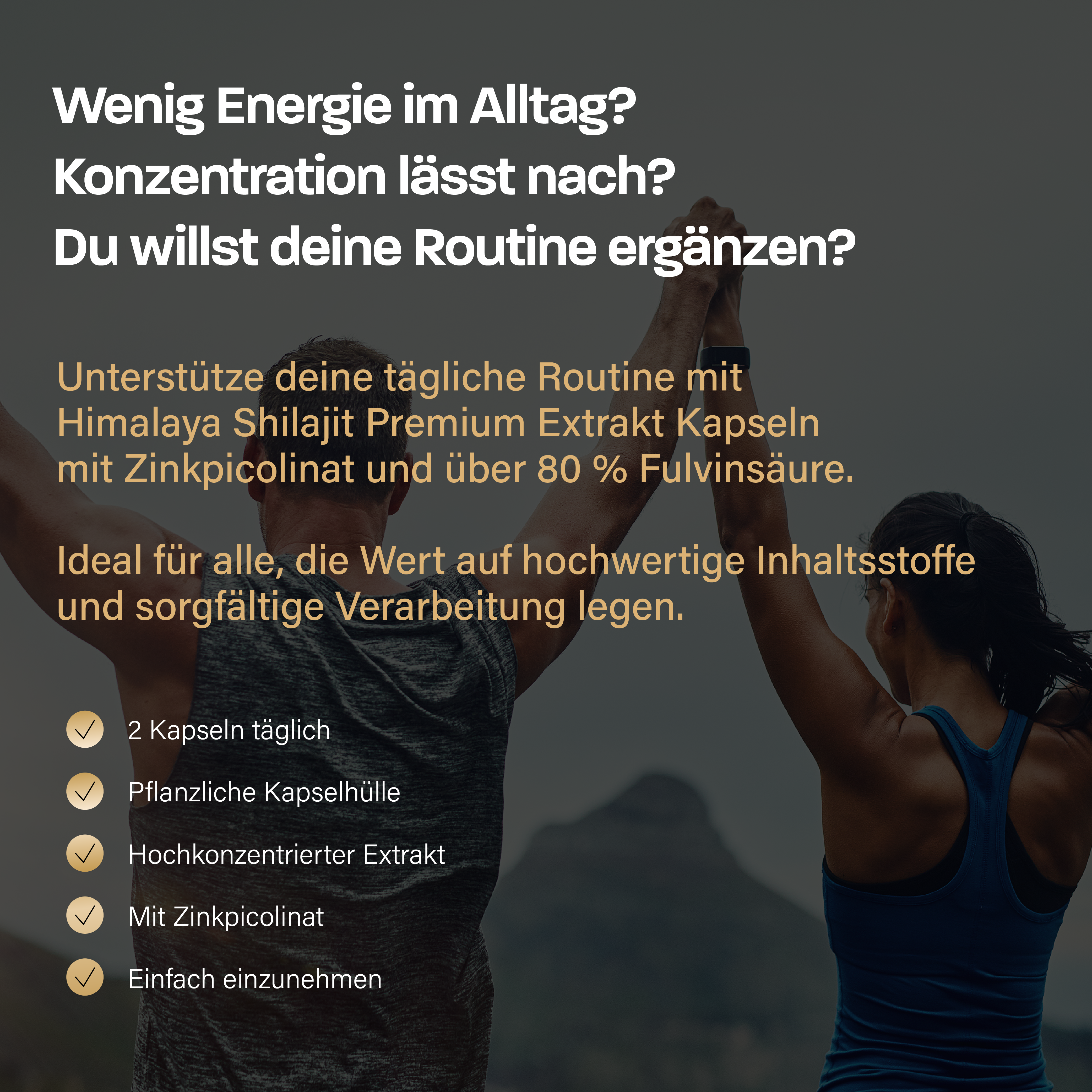 Originale premium Shilajit Kapseln aus dem Himalaya - 100 % rein, 80 % Fulvinsäure & Zinkpicolinat