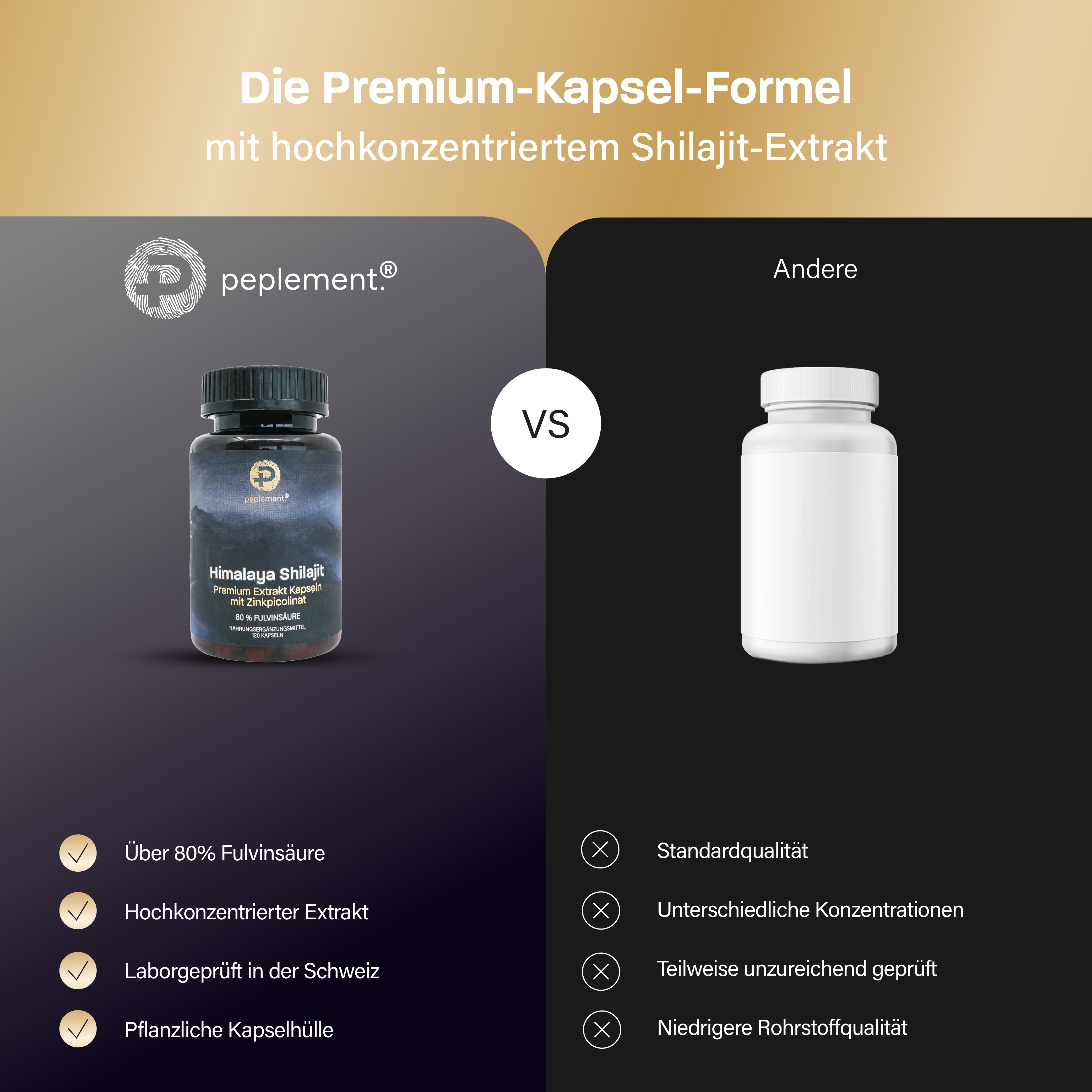 Originale premium Shilajit Kapseln aus dem Himalaya - 100 % rein, 80 % Fulvinsäure & Zinkpicolinat