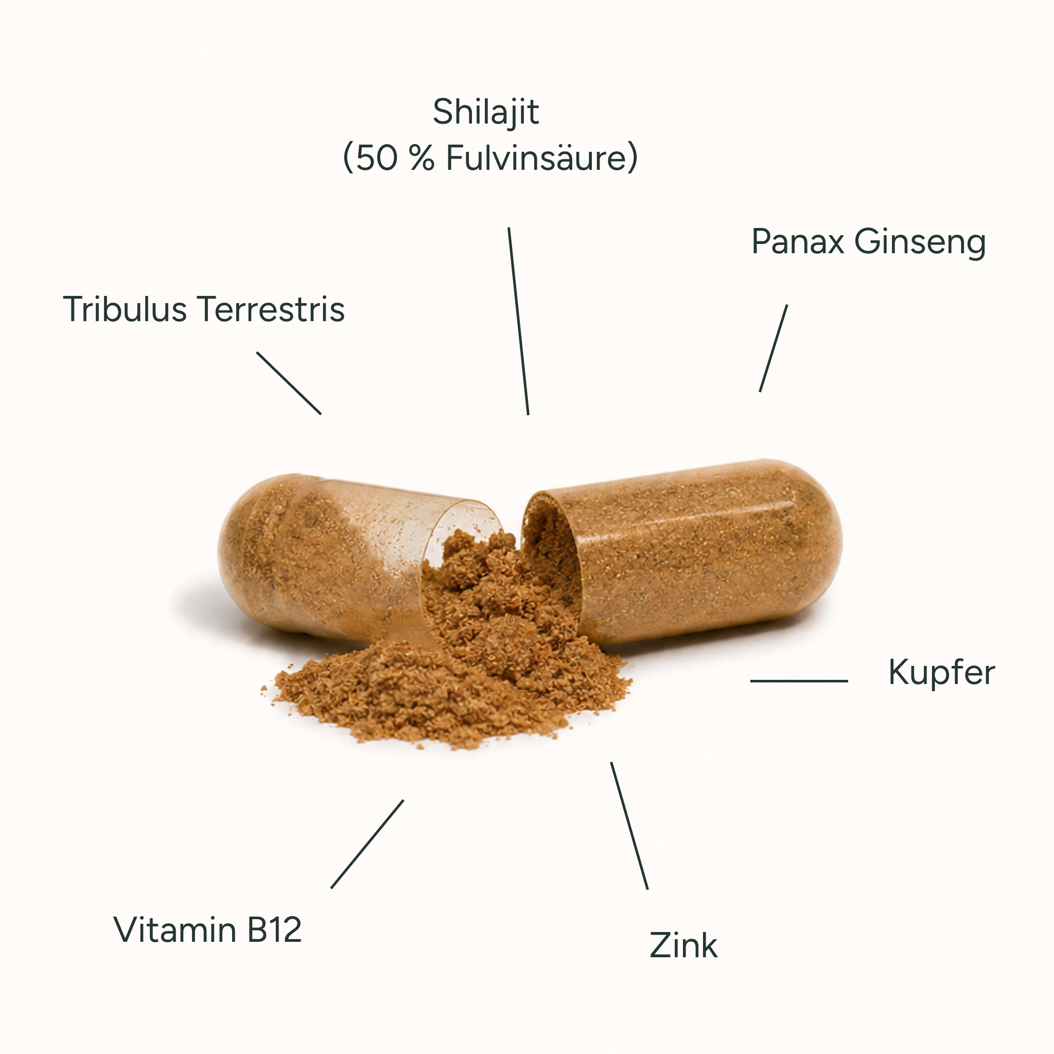 Shilajit plus+ Men's Edition