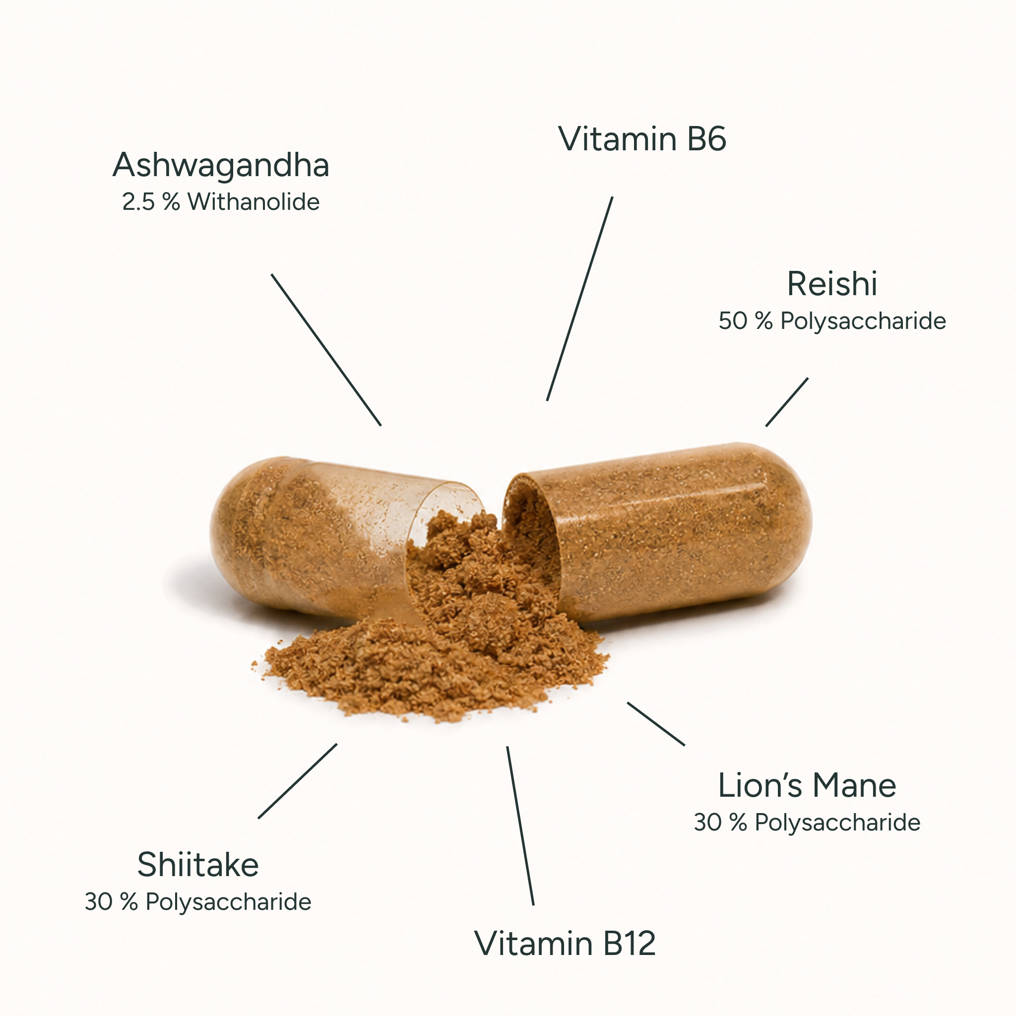 Vitalpilze plus+ Komplex mit Ashwagandha, Vitamin B6 & B12
