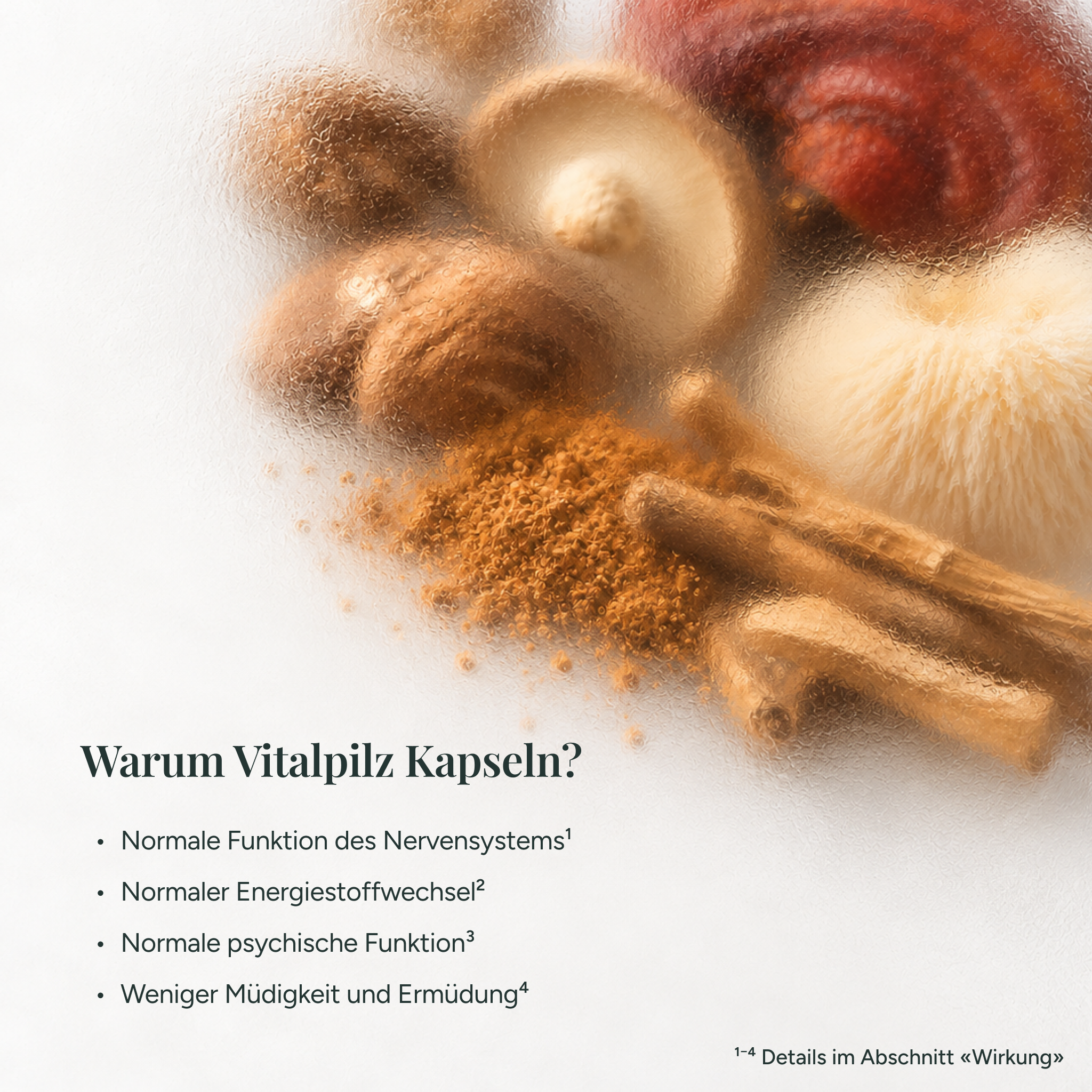 Vitalpilze plus+ Komplex mit Ashwagandha, Vitamin B6 & B12
