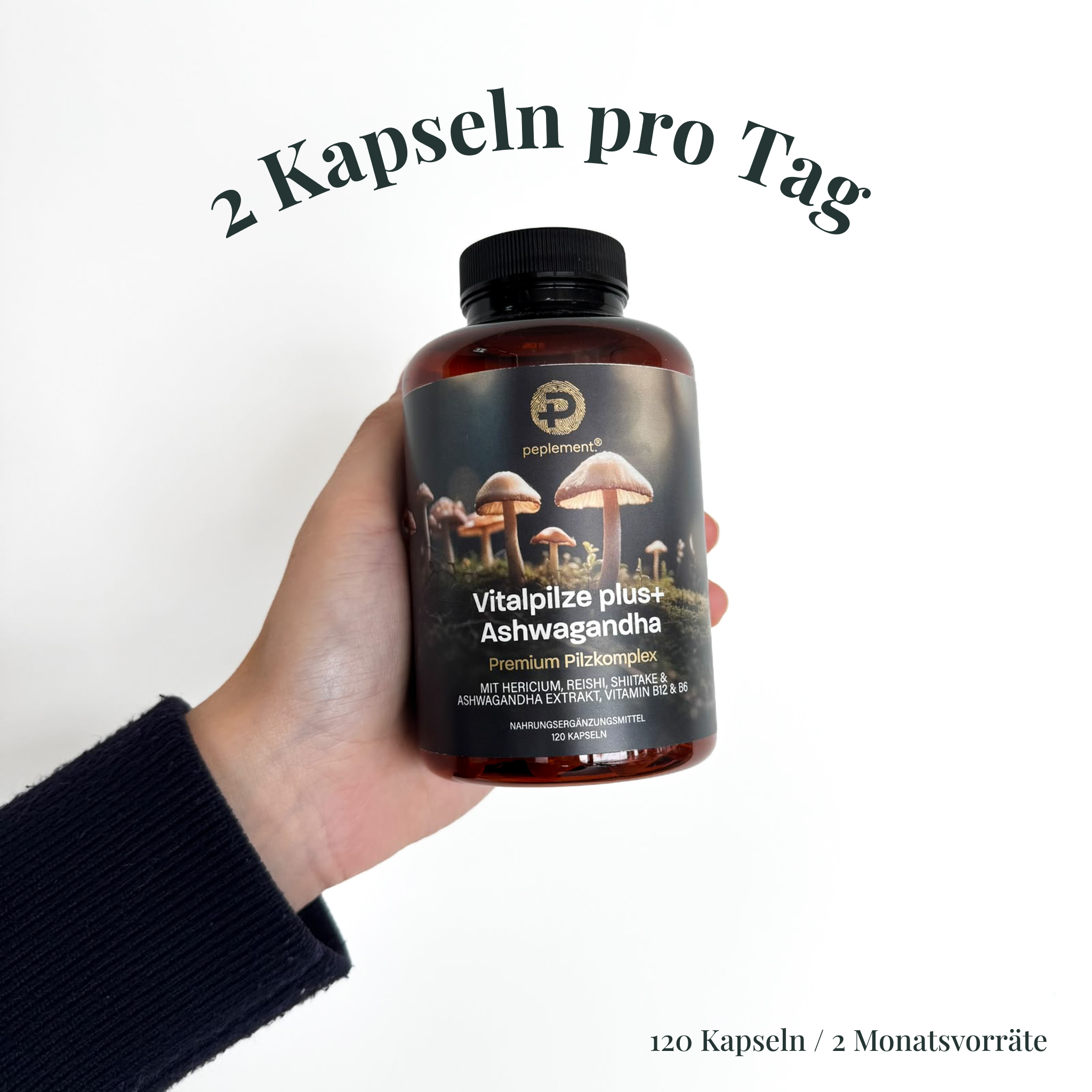 Vitalpilze plus+ Komplex mit Ashwagandha, Vitamin B6 & B12